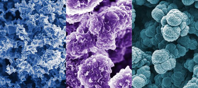 【話題・電池】米ベンチャーがリチウム硫黄バッテリーを生産、EV搭載はいつ? 【話題・電池】米ベンチャーがリチウム硫黄バッテリーを生産、EV搭載はいつ?